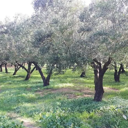 Casa Vacanze Tenuta Trovante *